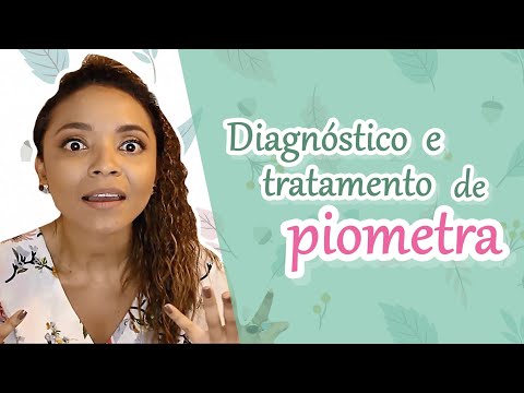 Vídeo: Pyometra: sintomas e tratamento em cães