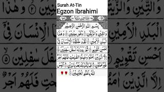Surah At-Tin #surahattin #surahteen #egzonibrahimi #quranrecitation #quran