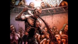 Turbidity - Vomiting The Rotten Maggot (2012) [Full EP]