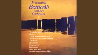 Killing Me Softly With His Song