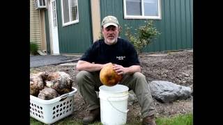 How to wash your gourd for crafting