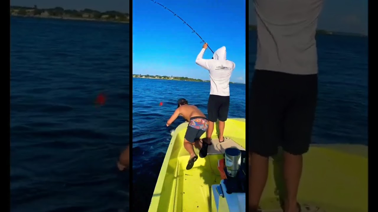 Поймали огромного снука… А потом случилось ЭТО SnookFishing 