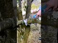The process of cutting branches = good tools can do more with less