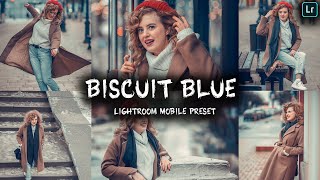 How to Edit Biscuit Blue Lightroom Prestet - Lightroom Mobile Presets Free DNG | Lightroom Mobile screenshot 5