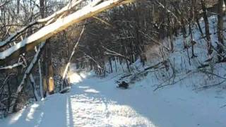 MVI_7237.avi