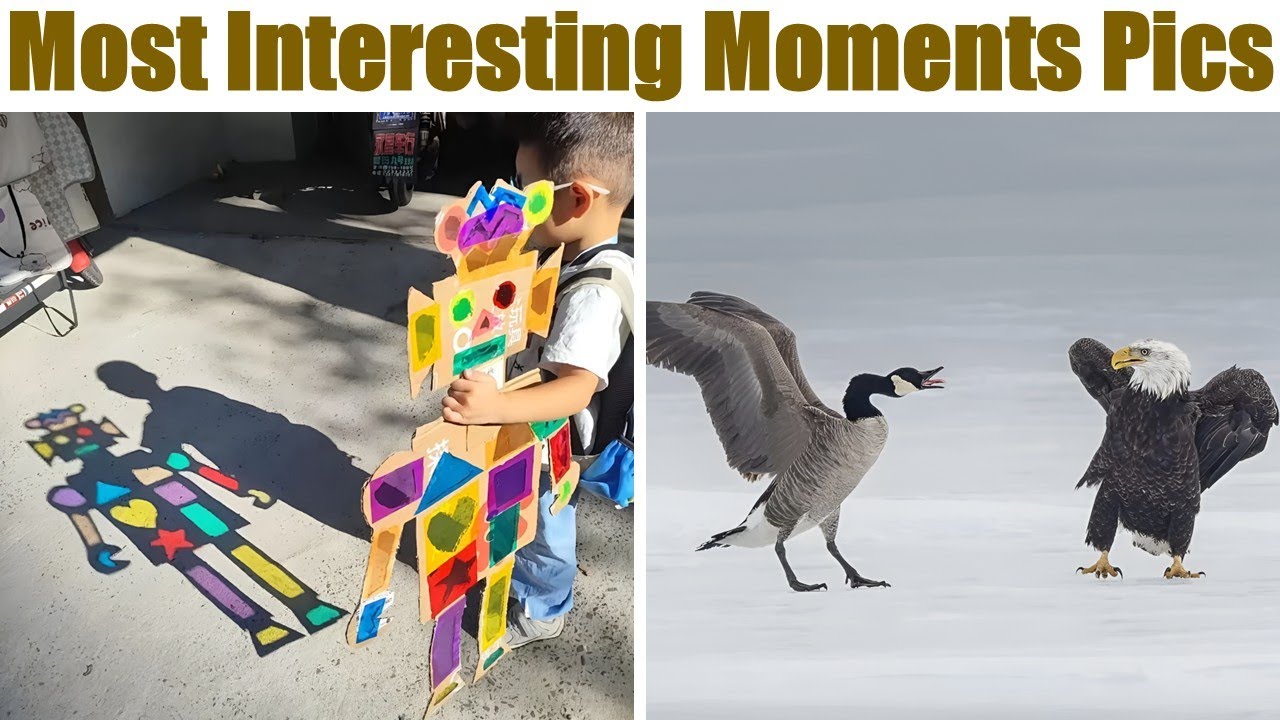 Fascinating Photos That Capture the Most Interesting Moments