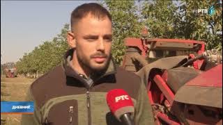 U Tornjošu jedna od najmodernijih plantaža oraha u jugoistočnoj Evropi