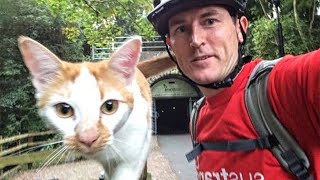 This Random Cat Greets Cyclist In The Most Adorable Way Possible