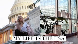 LIFE UPDATE | WHY I MOVED & STAYING IN THE US | DC Diaries #8