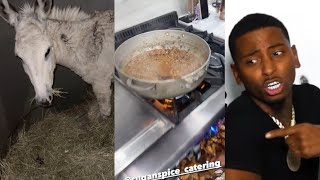 Funnymike Latest Videos With White Donkey 🐴 2024