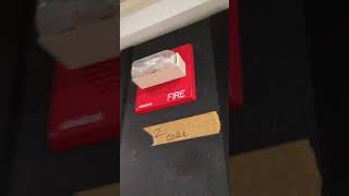 Wheelock E70 Fire Alarm