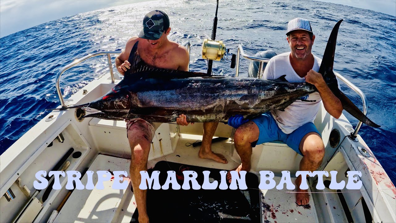 Buckle Up: Raw POV Stripe Marlin Battle Off Kauai (No Edits 