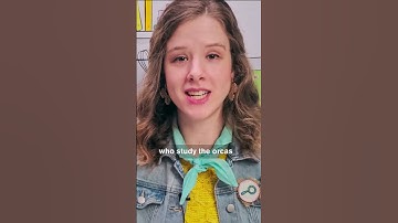 Can AI Help Save Endangered Orcas?