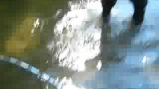 SALMON FISHING WITH CHAD AND GREG 2008 the right way Profile