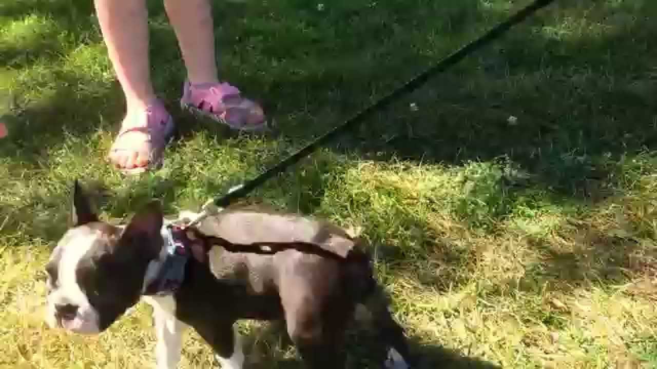 Ruby at Lake Michigan