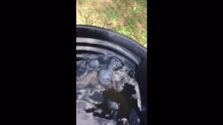 Copper Ore Final Cleanup Pt3