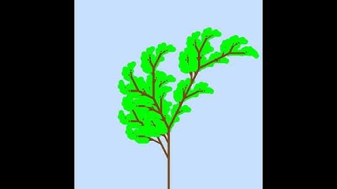 Fractal L-System Growing Plant