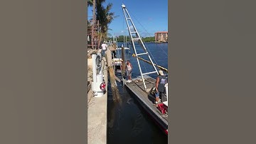 Seawall Doctors- Old Piling Removal