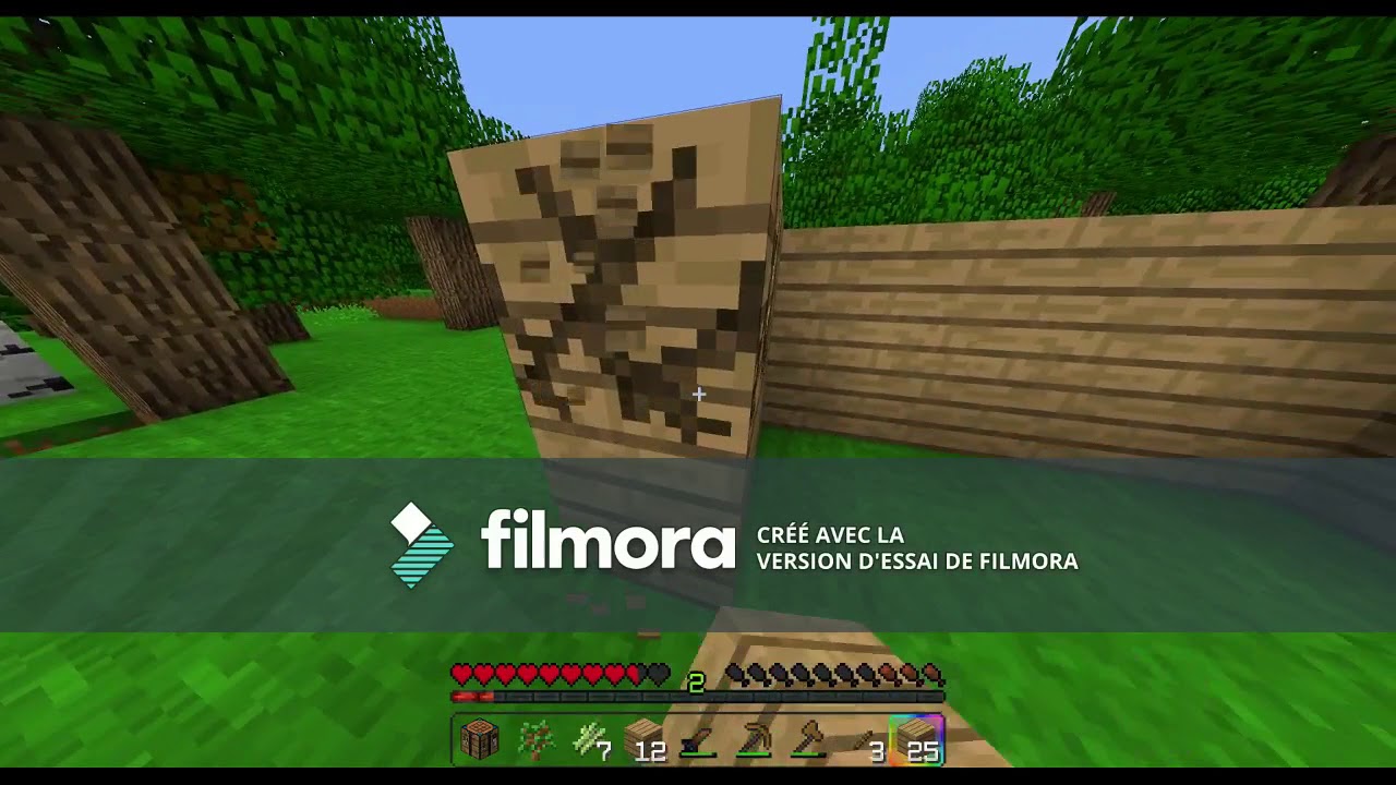 Lets play Survie Youtube #1