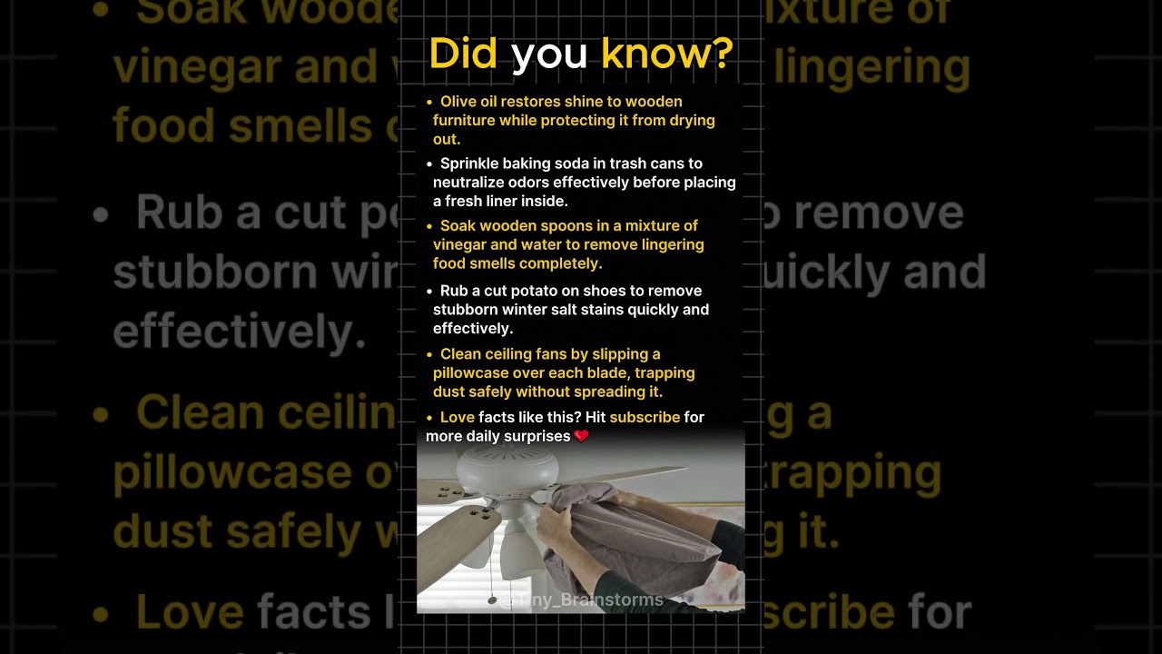 Cleaning Tips Your Parents Never Mentioned