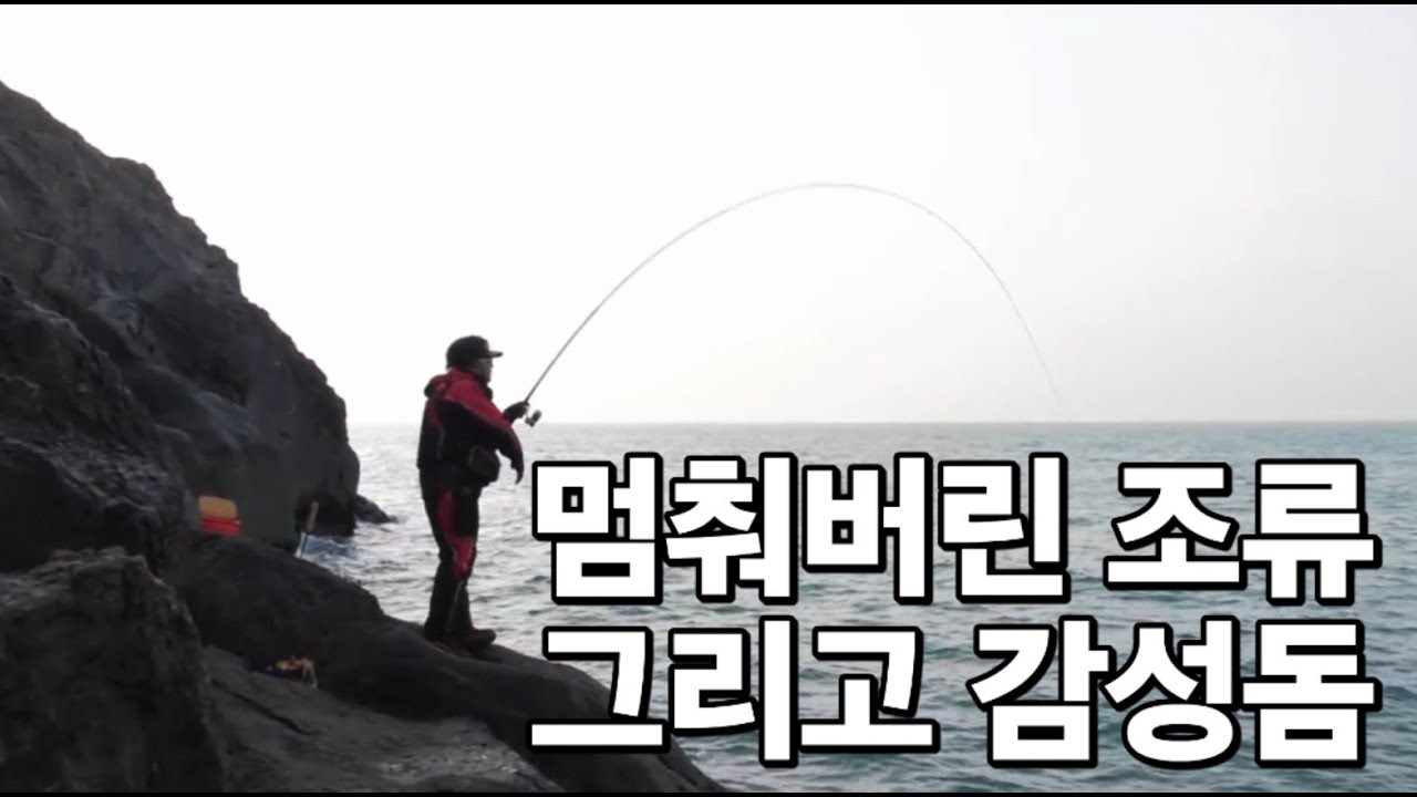 멈춰버린 조류 그리고 감성돔 by 박진철 프로