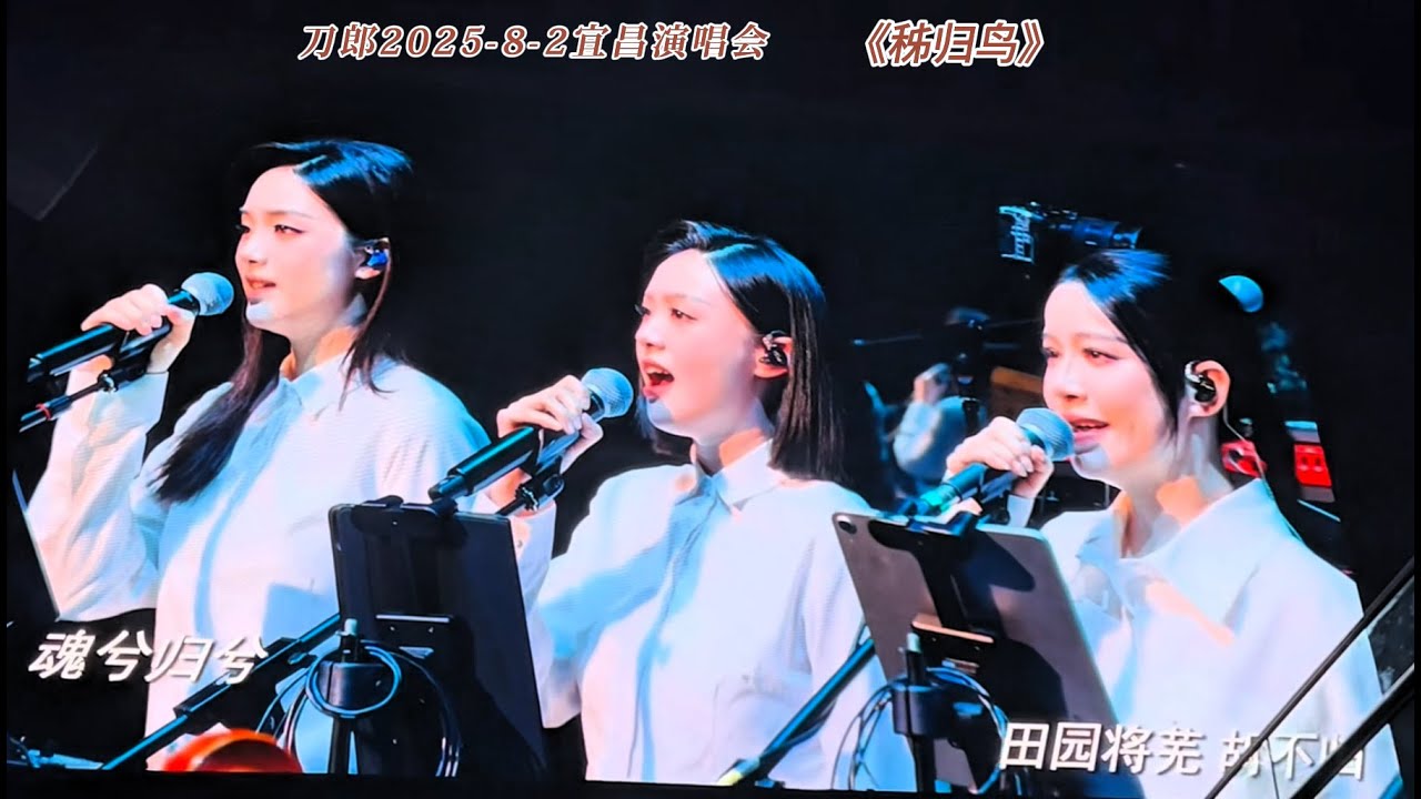 刀郎新歌《秭归鸟》(完整版) 太好听了！专为宜昌定制，如泣如诉、荡气回肠！| daolang songs | chinese music | top chinese songs | 刀郎2025演唱会