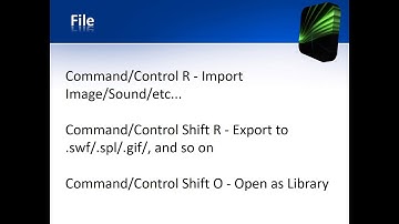 Adobe Flash keyboard shortcuts