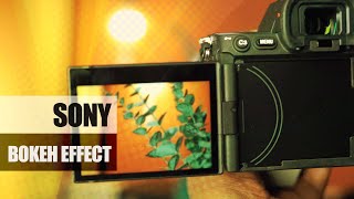 Bokeh Effect with Sony FE 70-200mm F4 Macro G OSS II SEL70200G2 screenshot 5