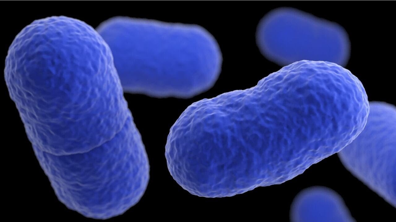 Ga. company recalls 13,000 pounds of chicken breast over listeria concerns