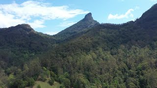 Open2view AU - ID# 598399 - 501 Mount Warning Road, Mount Warning