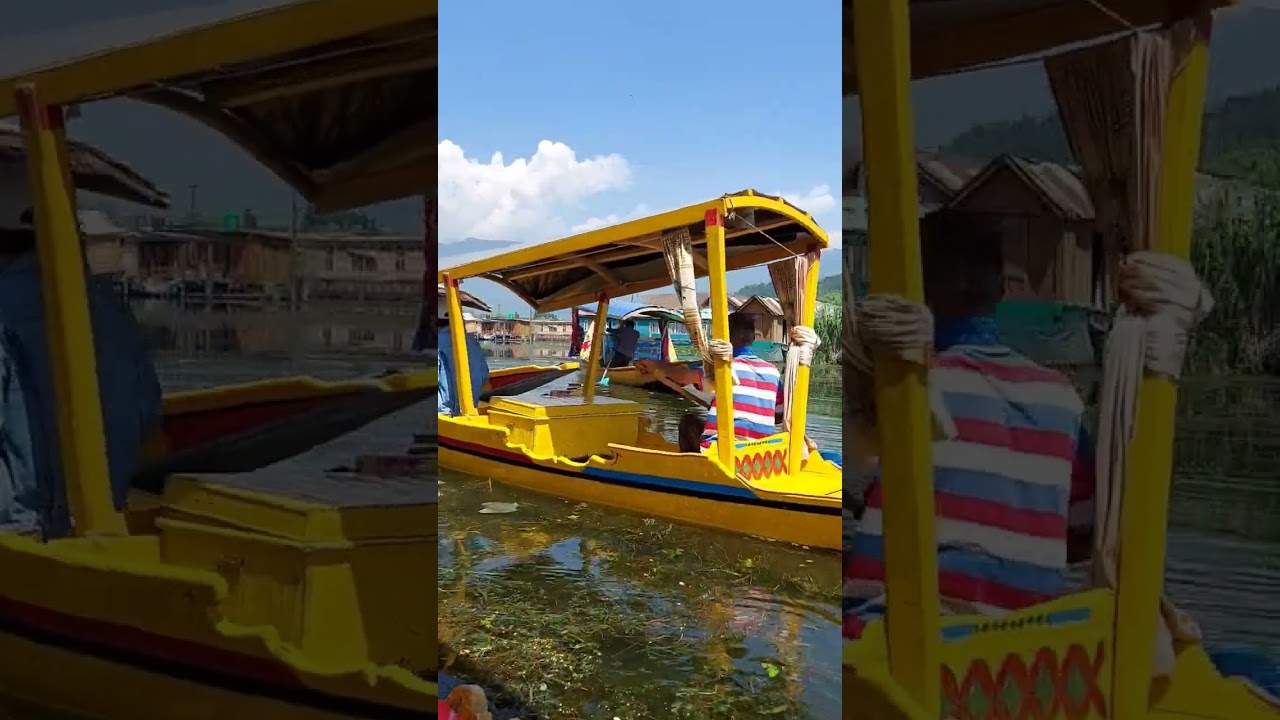 Shikara Ride | Dal Lake | Srinagar