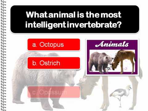 powerpoint trivia