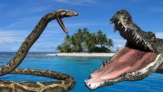 Celebrity Python & Crocodile Nursery Rhymes | Childern Rhyme For English Nursery Rhyme Profile