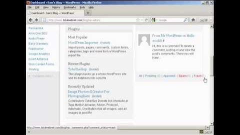 Learn - How to Delete Comments Inside Trash Folder