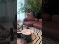 #livingroom #roommakeover #homedecor #interiordesign #beforeafter #cozy #homevibes #viral #fyp