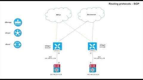 Viptela (Cisco SD WAN) Lan routing with bgp