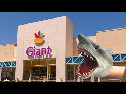 shark puppet 4k goes to giant pt 1