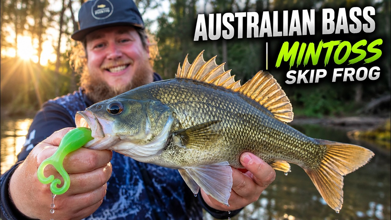 Australian Bass Fishing – TOPWATER and SUBSURFACE – Mintoss Skip Frog!