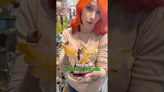 Den Healer At Crystal Love In The Summit