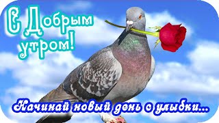 С Добрым Утром! 🌸Встречай С Улыбкой Новый День🌸 Прекрасное Пожелание 🌸Good Morning!🌸