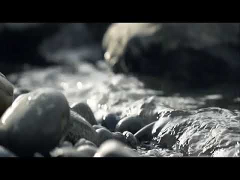 ونادو يا مالك ليقضي علينا ربك تلاوة عبدالرحمن مسعد إسلام صبحي عبدالله الموسى