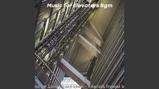 Modern Ambience for Elevators