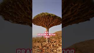 🪴🏵️Top 10 Rarest Plants On Earth!!☘️🌵