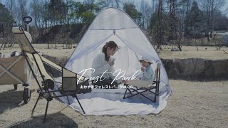 2023 Forest Park ドイツの森
