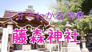 1分でわかる京都|藤森神社