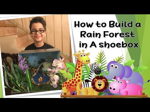 How to Build a Rainforest  Project in a Shoebox Science School Project Third Grade (#4kidstoyreview)