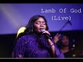 Lamb of god live  osene ighodaro