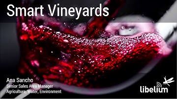 Webinar - SMART VINEYARDS