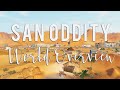 SAN ODDITY (I AM OBSESSED!!)// THE SIMS 3 WORLD OVERVIEW