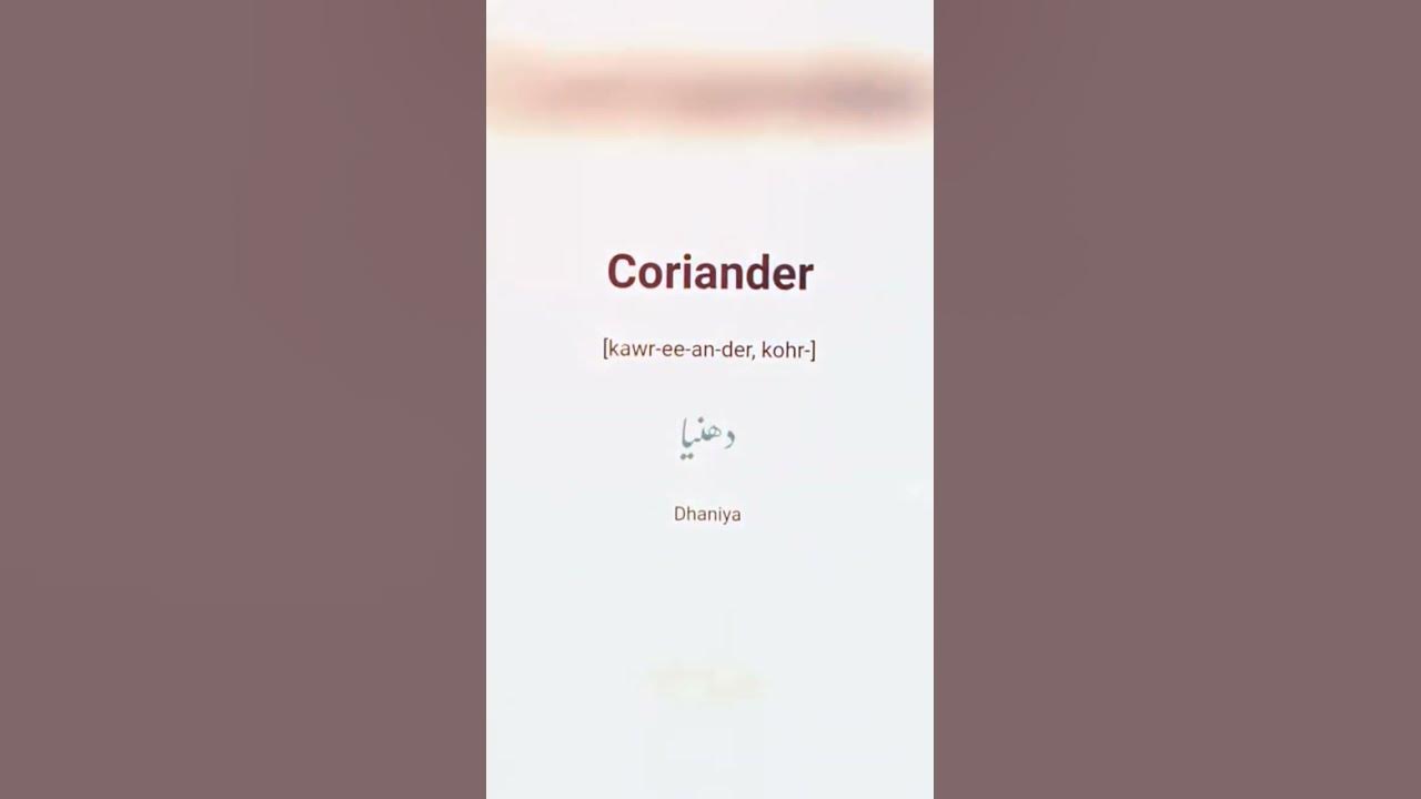 Coriander Meaning In Urdu coriander englishtourdu YouTube coriander-meaning-in-urdu-coriander-englishtourdu-youtube